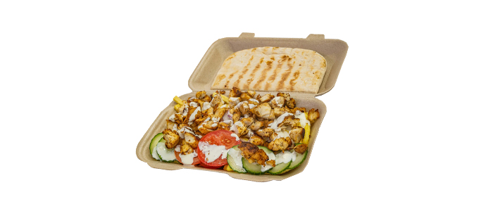 Gyros Plate  Normal 